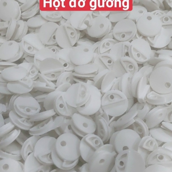 HỘT ĐỠ GƯƠNG