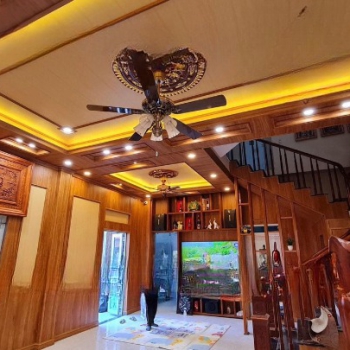 Tấm Ốp Trần Tường 3