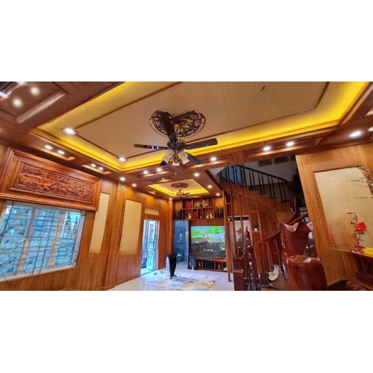 Tấm Ốp Trần Tường 3